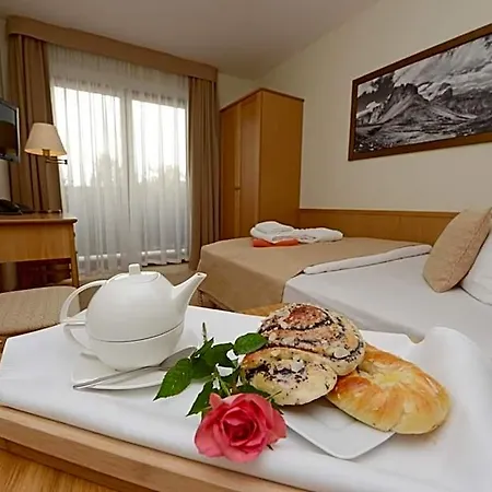 Alpejski Hotel