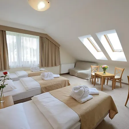 Alpejski Hotel