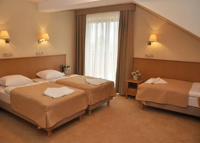 Alpejski Hotel Polanica-Zdrój