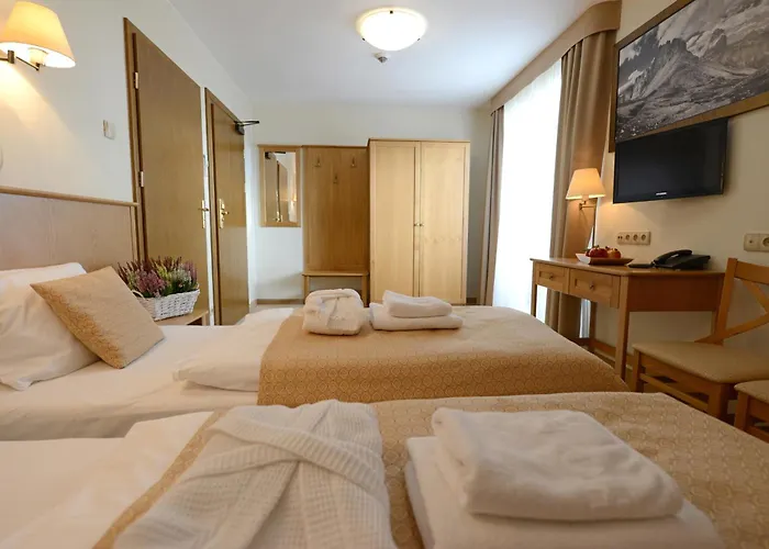 Alpejski Hotel 3*
